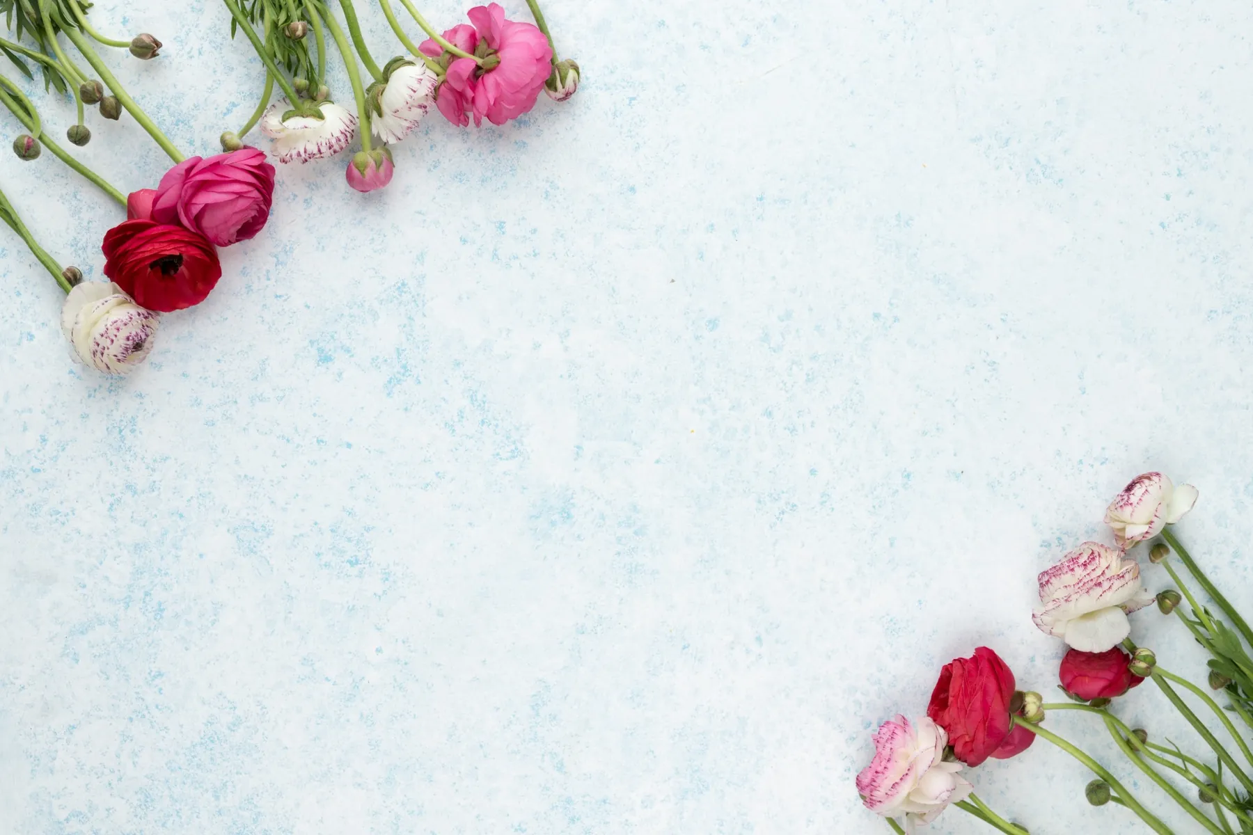 Fresh flower care: from arrival to arrangement
